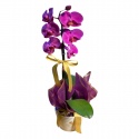 Tek Dal Mor & Beyaz Orkide (60cm)